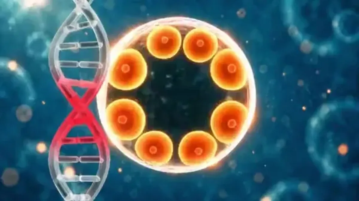 Registro fotográfico documental de Avanço na epigenética permite regular genes como um 'botão de volume': entenda como a técnica promete revolucionar o tratamento de doenças raras e do câncer - Foto: Reprodução / G1