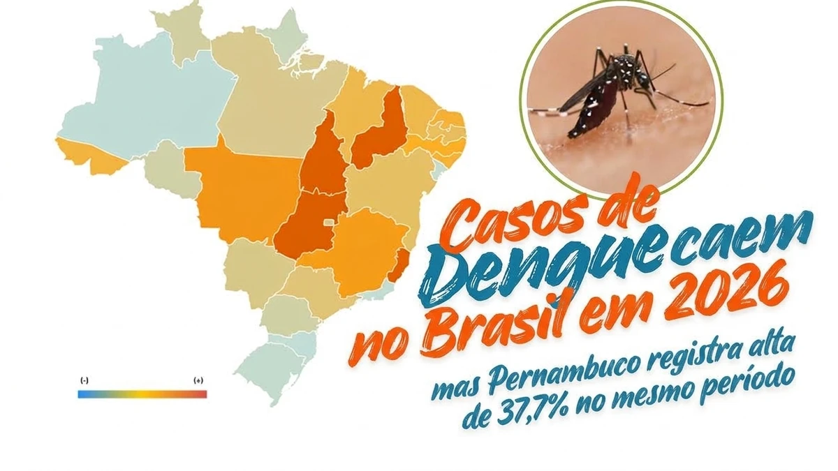 Infográfico editorial ilustrando dados sobre Casos de dengue caem 70% no Brasil em 2026, mas Pernambuco registra alta de 37,7% no mesmo período - Falando Nisso