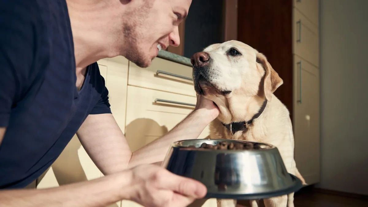 Registro fotográfico documental de Geração Z gasta 24% a mais com ração de cães do que os boomers — e 41% corta a própria comida pelo pet - Foto: Reprodução / caesegatos.com.br