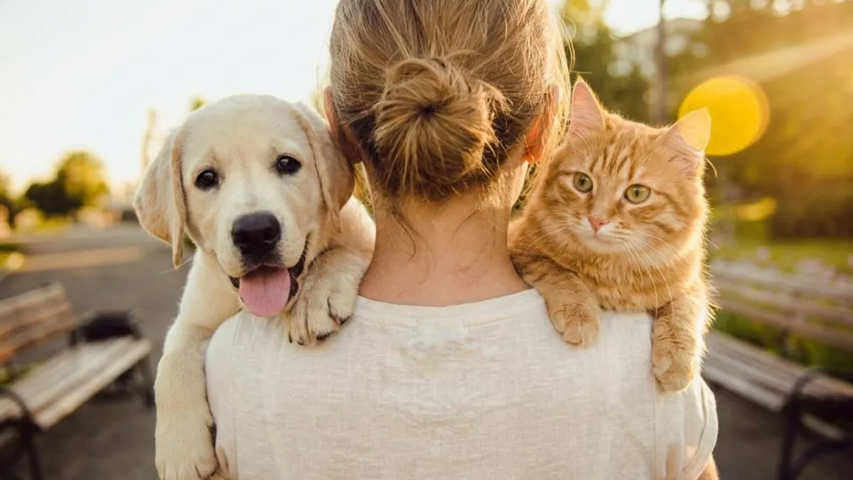 Registro fotográfico documental de Mais de 80% dos tutores no Brasil adotaram seus pets, mas 26% enfrentam dificuldades na adaptação do animal - Foto: Reprodução / pontopb.com.br