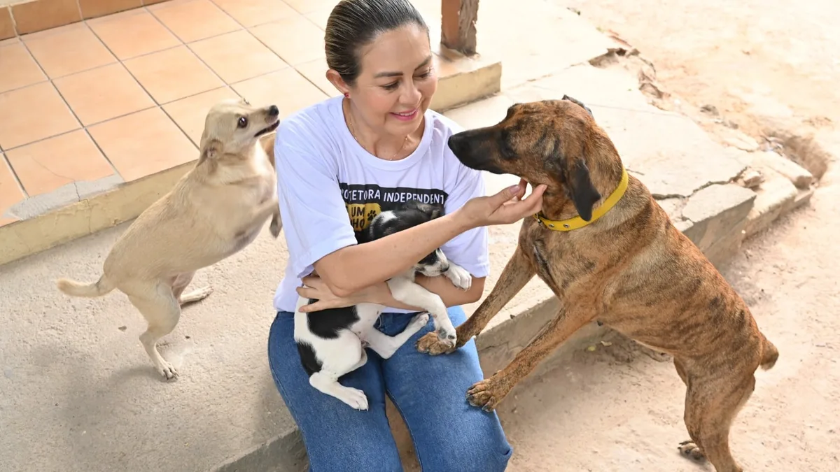 Registro fotográfico documental de São Paulo passa a permitir o sepultamento de cães e gatos em jazigos da própria família humana - Foto: Reprodução / DIARIO RR